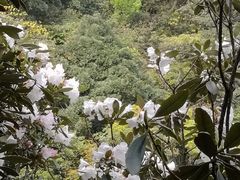 -井冈山风景名胜区