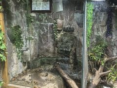 -上海昆虫博物馆