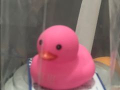 -LINLEE林里·手打柠檬茶(惠城仲恺天益城店)