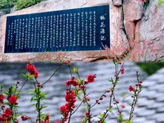-桃花涧