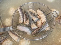 -正能量脆肉鲩火锅