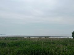 -合肥滨湖国家森林公园