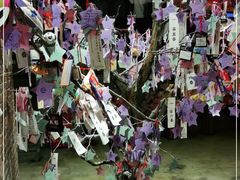 -长藤鬼校(千禧店)