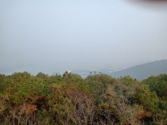 -宝界山林公园