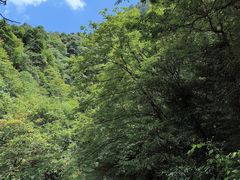 -西岭雪山大飞水景区