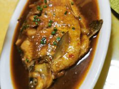 阳澄湖红烧大鳊鱼-蟹宝酒楼•农家菜(古城北路店)