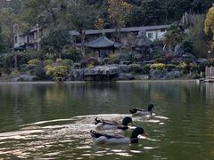 -谷丰健康凤贤居酒家