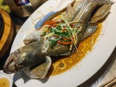 -百年银屏蚝烙·潮汕菜·非遗(乐山店)