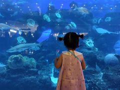 -成都浩海立方海洋公园