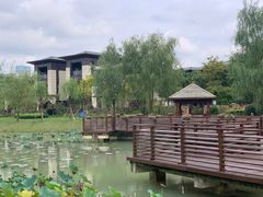 -苏州湾体育公园