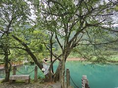 -靖西鹅泉风景区