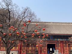 -香山公园