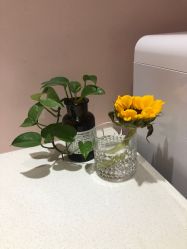 -德加芭蕾·舞蹈培训