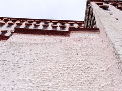 -布达拉宫