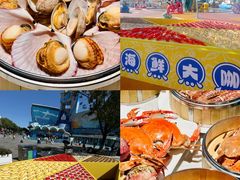 -海合安青岛极地海洋公园