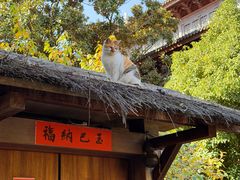 -龙华素斋(龙华路店)