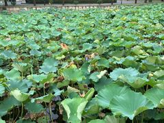 -绍兴鉴湖君澜大酒店