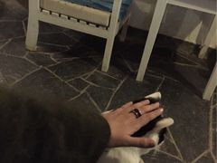 Anne猫窝咖啡屋-Anne猫窝咖啡屋