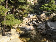 -无染寺