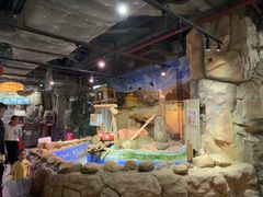 -正佳雨林生态植物园
