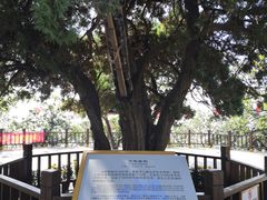 -狼牙山风景区