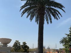 -郑州方特梦幻王国