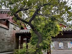 -绮园景区