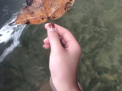 -宁海森林温泉