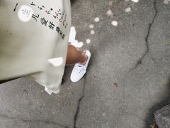 -邊城書店