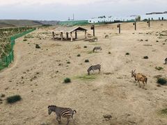 -新疆天山野生动物园