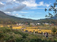 -塔川景区