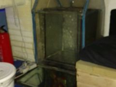 -Sirena海妖日咖夜酒