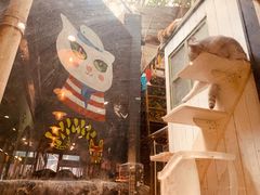 -猫咪博物馆(顶澳仔猫街店)