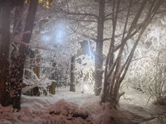 -汉拿山温泉度假酒店