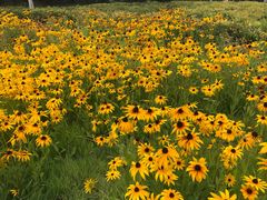-永定河休闲森林公园