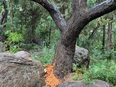 -封龙山风景区