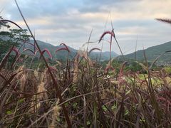 -白石龙音乐公园
