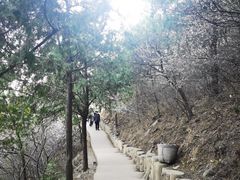 -北京西山国家森林公园