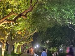 -杭州城中香格里拉大酒店