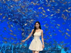 -合肥海洋世界