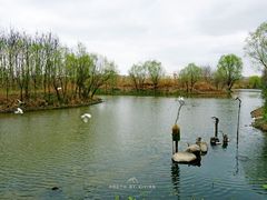 -新江湾城公园