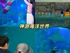 -威海华夏城景区