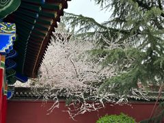 -西安市广仁寺