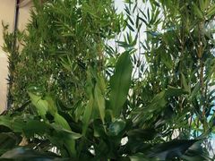 -中德住房储蓄银行(和平支行)