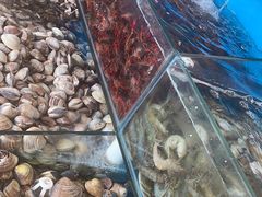 -港畔赶海蒸汽海鲜烧烤自助(仙螺岛店)
