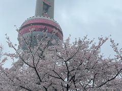 -陆家嘴空中步行连廊