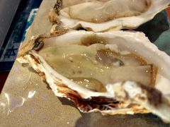 -千岛蚝高压锅生蚝·人参火锅(白云万达店)