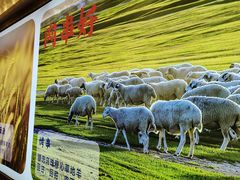 -丝路伊兰·兰州牛肉面(马连道店)
