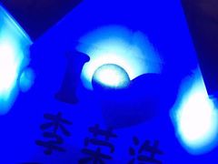 -华润深圳湾体育中心-“春茧” 体育馆