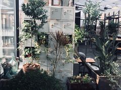 -北马山庄植趣咖啡